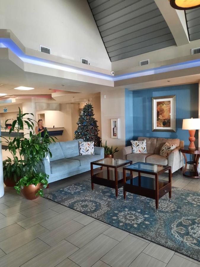 A Happy Seashell Story Lejlighedshotel Daytona Beach Eksteriør billede