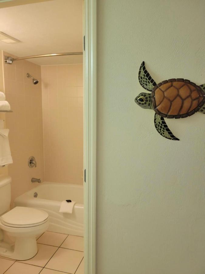 A Happy Seashell Story Lejlighedshotel Daytona Beach Eksteriør billede